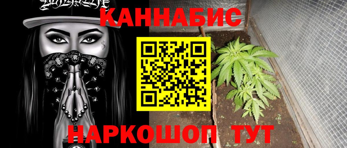 Бошки марихуана ГИДРОПОН Кстово